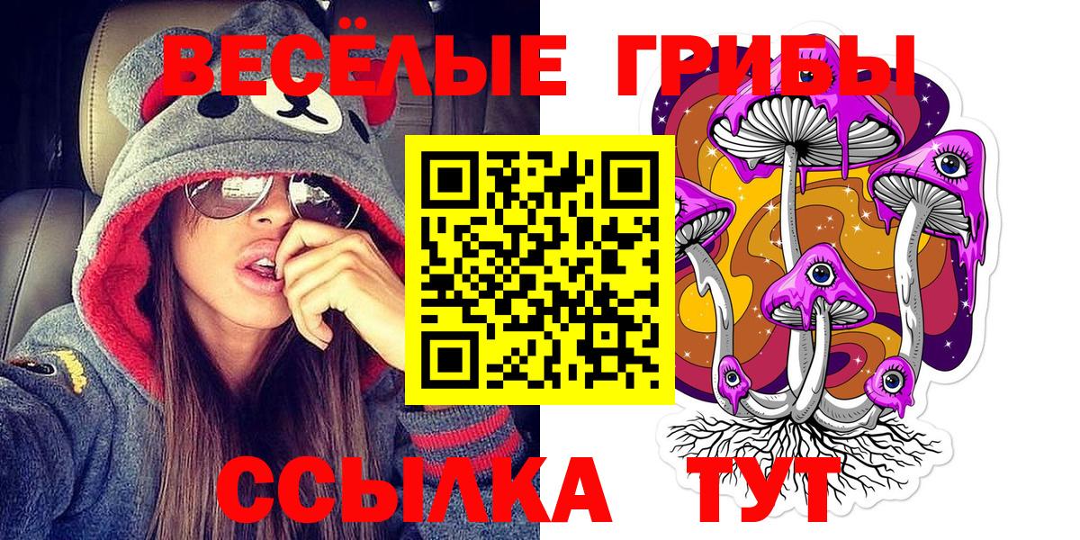 Галлюциногенные грибы GOLDEN TEACHER  Вход с VPN  Александров  Галлюциногенные грибы мухоморы 